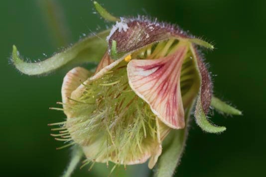 D81_7492 Edit-2-Edit