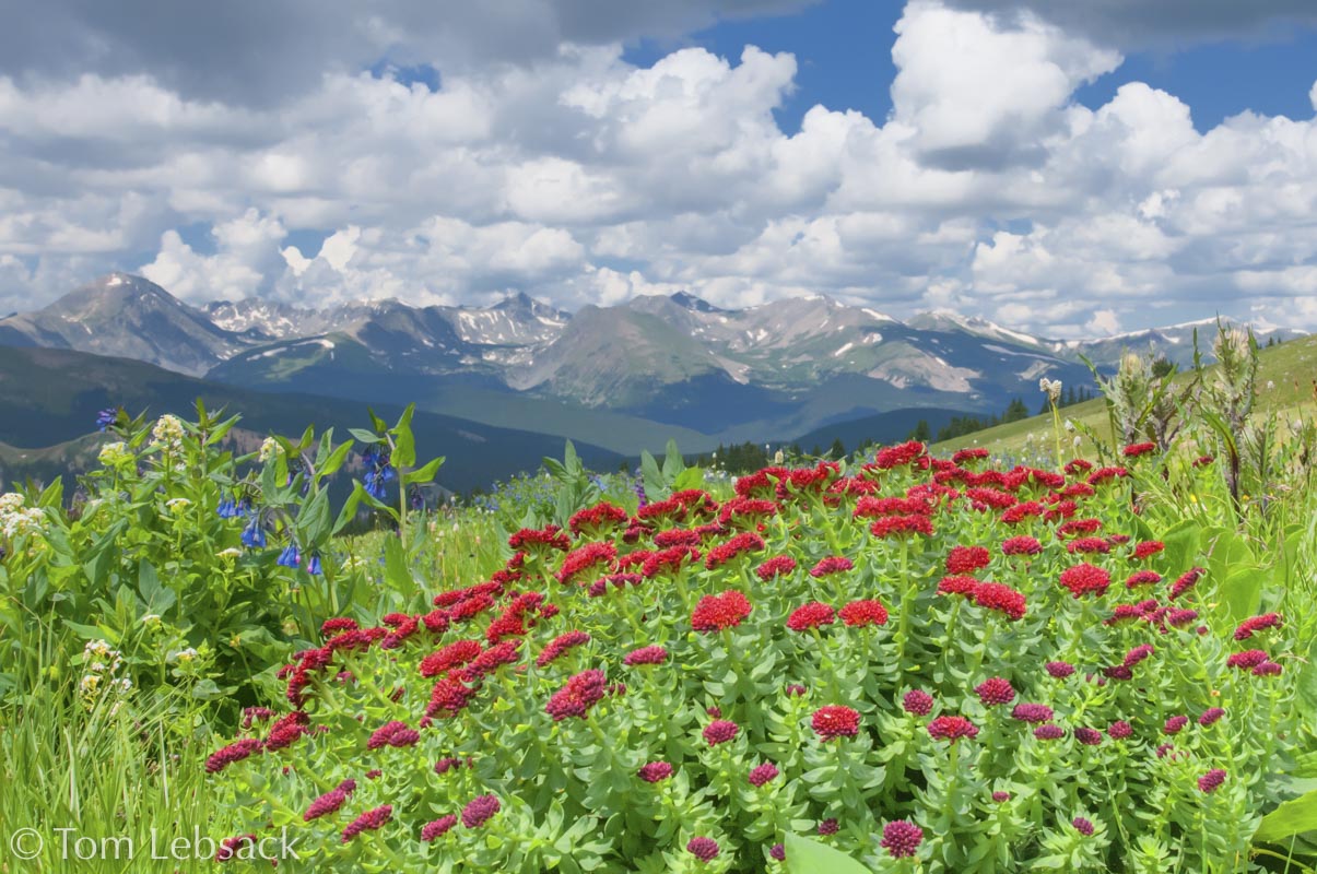 2019 03-26%2016-20-17%20%28A,Radius8,Smoothing4%2911-2-2-Edit-Edit